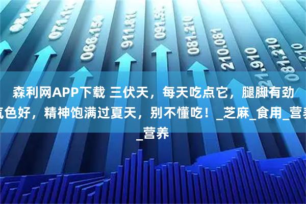 森利网APP下载 三伏天，每天吃点它，腿脚有劲气色好，精神饱满过夏天，别不懂吃！_芝麻_食用_营养